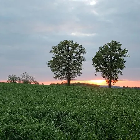 Semesterbostad La Maison De Louise