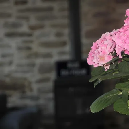 La Maison De Louise *