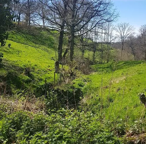 La Maison De Louise 펜션 *