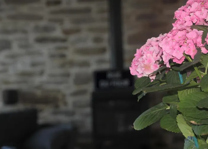 La Maison De Louise *